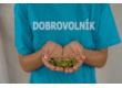 Dobrovolnictví jako nová superpotravina