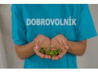 Dobrovolnictví jako nová superpotravina