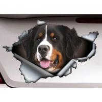 Dlouhodobá spolupráce 