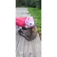 Pomoc mamince samoživitelce s 2letou holčičkou Pomoc mamince samoživitelce s 2letou holčičkou