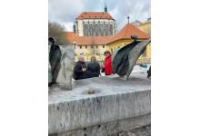 Děvčata z obrazovky aneb Na nová přátelství není nikdy pozdě
