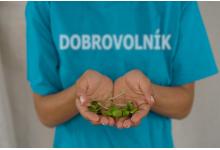Dobrovolnictví jako nová superpotravina