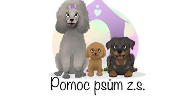 Hledáme pomoc s našimi webovými stránkami