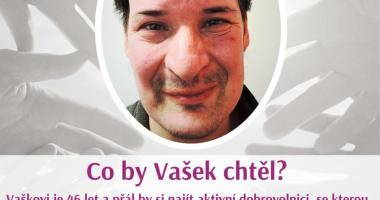 Hledá se dobrovolnice pro Vaška