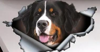 Dlouhodobá spolupráce Dlouhodobá spolupráce