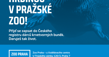 Staň se hrdinou v pražské zoo!