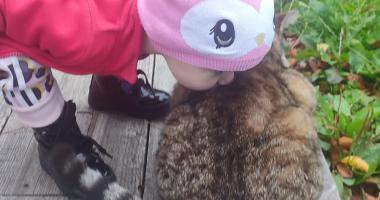 Pomoc mamince samoživitelce s 2letou holčičkou Pomoc mamince samoživitelce s 2letou holčičkou