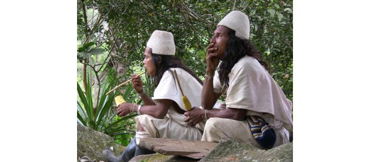 Správa webové stránky Správa webové stránky