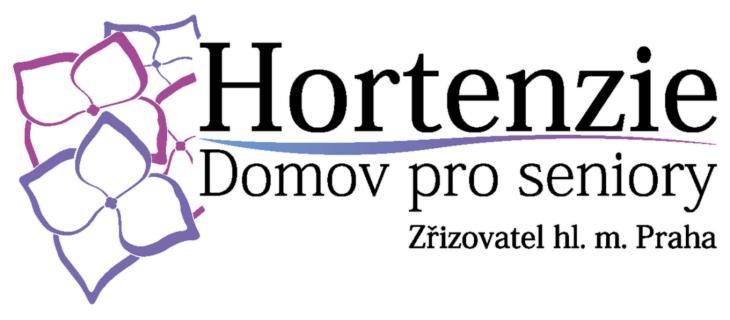 Dobrovolnická činnost v domově pro seniory