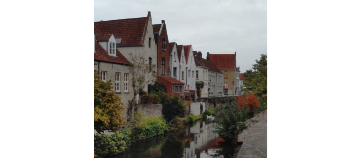 Dobrovolnictví ve Vlámsku