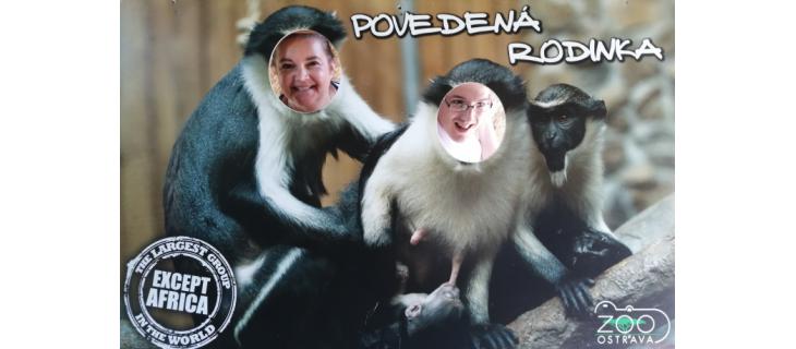 Dobrovolnictví může být tím nejlepším kořením života pro ty, kteří to potřebují