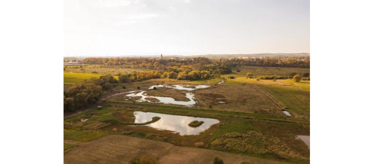 Podzim v ptačích parcích