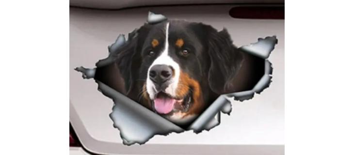 Dlouhodobá spolupráce Dlouhodobá spolupráce