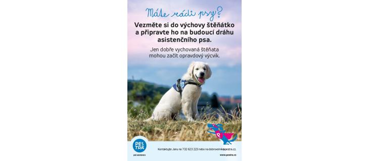 Roznos letáků - duben 2023 Roznos letáků - duben 2023