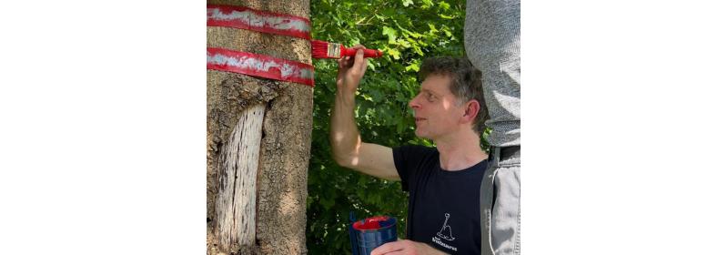 Společně chráníme Moravskou Amazonii: První krok k vyhlášení CHKO Soutok