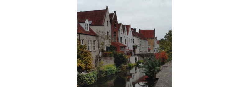 Dobrovolnictví ve Vlámsku