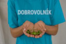 Dobrovolnictví jako nová superpotravina